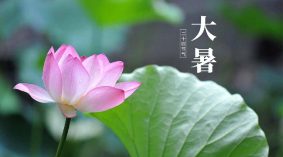 大暑時(shí)節(jié)！金環(huán)電器提醒大家注意這些干衣細(xì)節(jié)