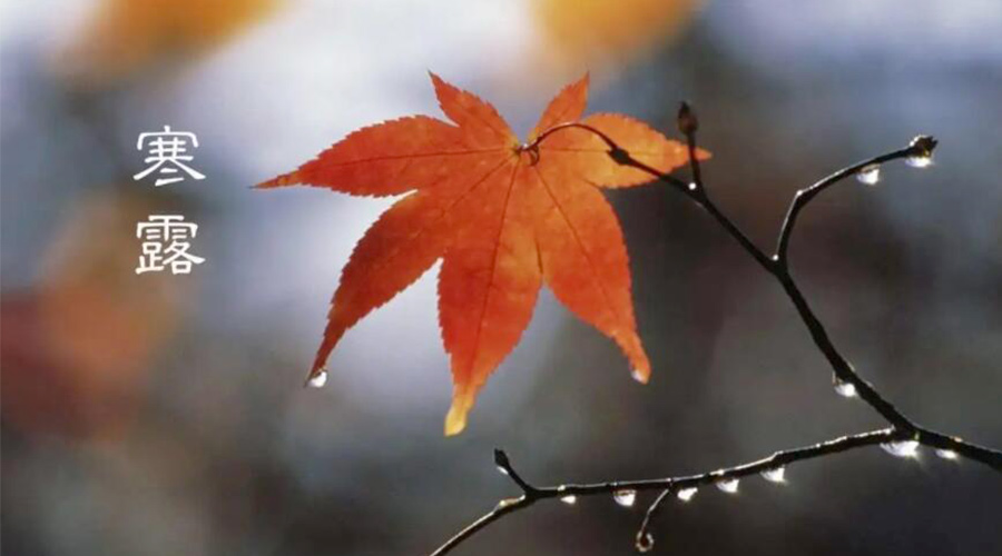 寒露時(shí)節(jié)！金環(huán)電器提醒大家要注意的事項(xiàng)