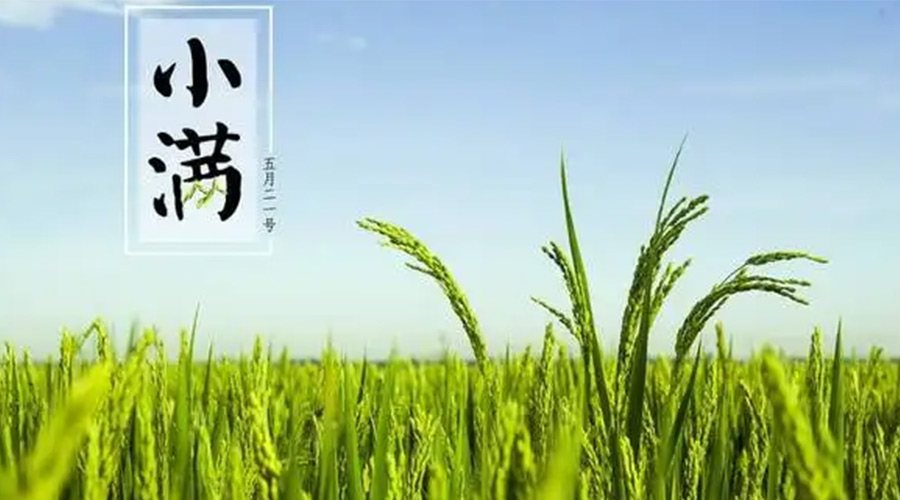 小滿(mǎn)時(shí)節(jié)！金環(huán)電器提醒大家要注意的事項(xiàng)