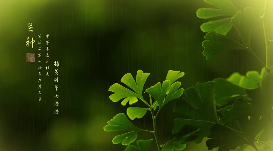 芒種時節(jié)！金環(huán)電器提醒大家的注意事項