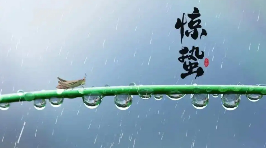 驚蟄時節(jié)！金環(huán)電器提醒大家干衣要注意這些