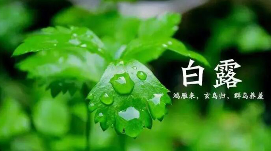 白露時(shí)節(jié)！金環(huán)電器提醒大家要注意的事項(xiàng)