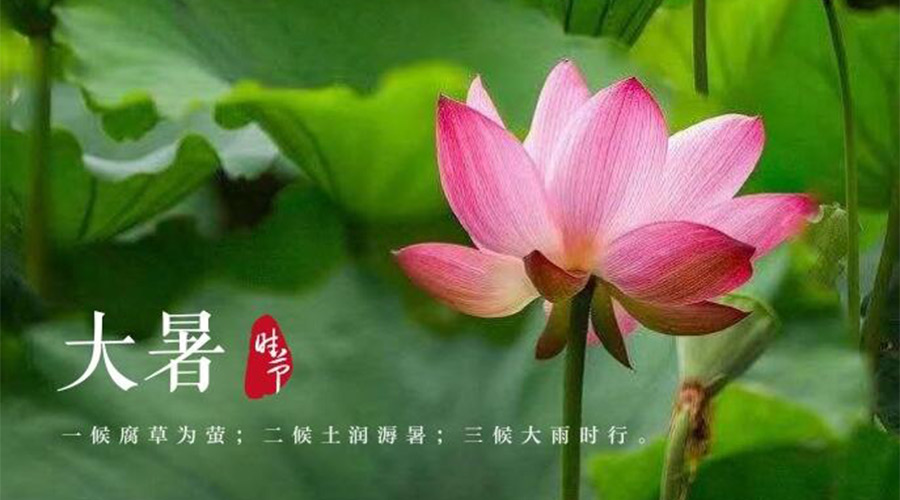 大暑時(shí)節(jié)！金環(huán)電器提醒大家要注意的事項(xiàng)