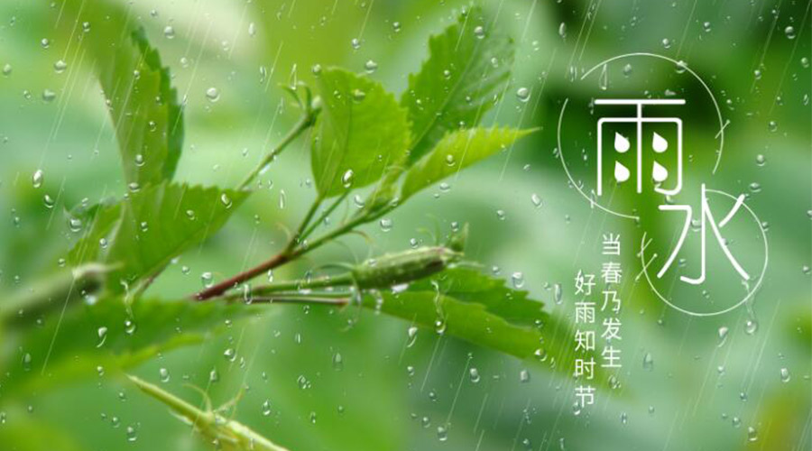 雨水時節(jié)！金環(huán)電器提醒大家要注意的事項